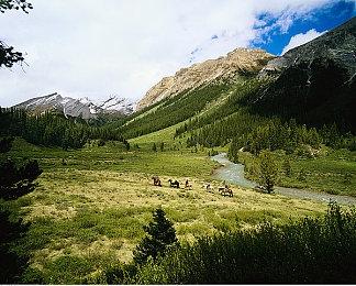 《怪物猎人：荒野》第二轮B测已开始 Steam在线超25万